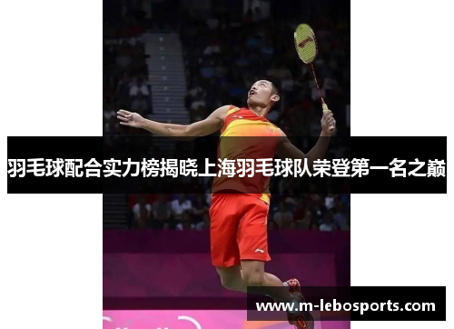 羽毛球配合实力榜揭晓上海羽毛球队荣登第一名之巅