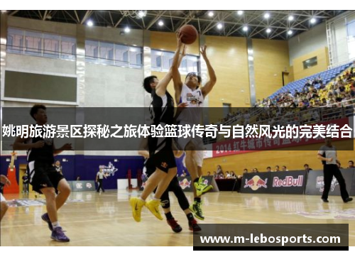 姚明旅游景区探秘之旅体验篮球传奇与自然风光的完美结合