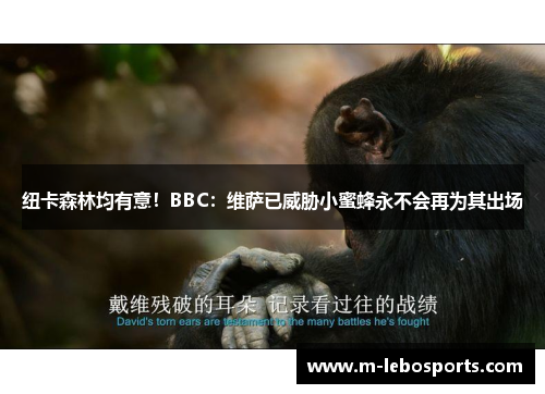 纽卡森林均有意！BBC：维萨已威胁小蜜蜂永不会再为其出场