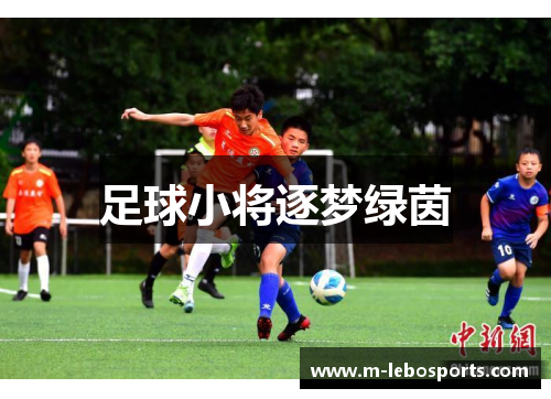 足球小将逐梦绿茵 足球小将逐梦绿茵